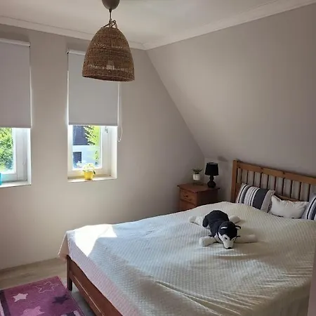 Csuka Дом отдыха