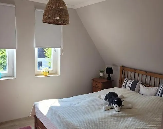 Csuka Hébergement de vacances